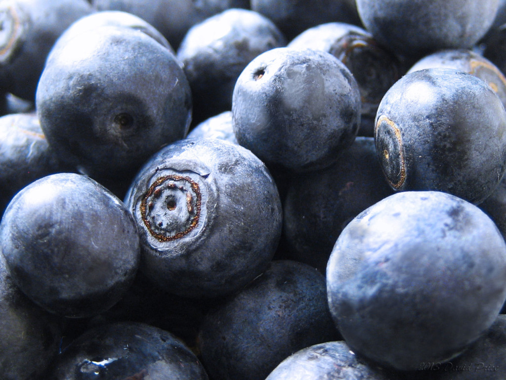 Blueberries-Closeup