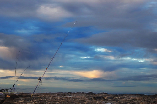 DSCN0206A-Found-Still-Life-Fishing-Poles
