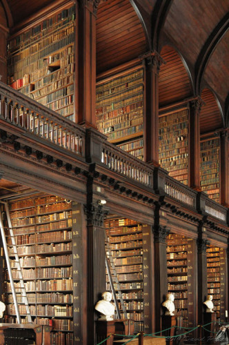 DSC_9869A-Trinity-Library-Shelves-In-Dublin