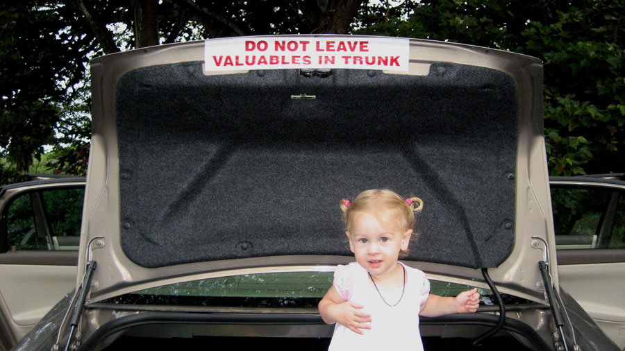 IMG_2425-Do-Not-Leave-Valuables-In-Trunk